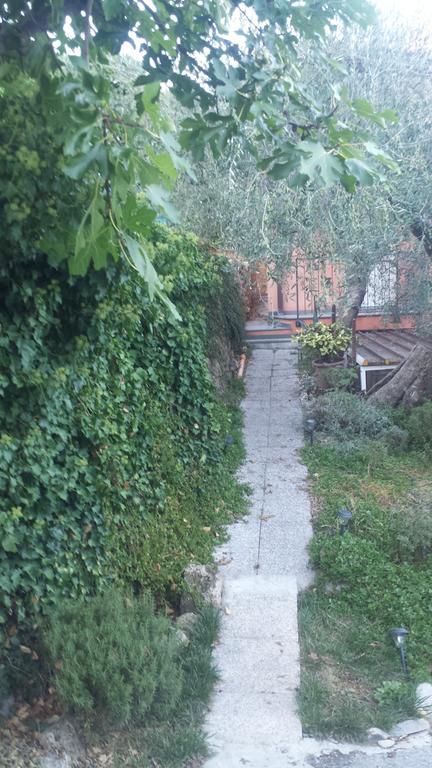 Immerso nel Verde Chiusavecchia Esterno foto