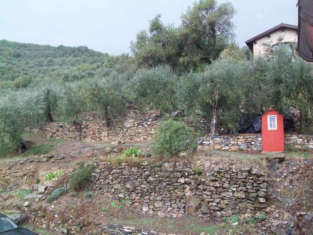 Immerso nel Verde Chiusavecchia Camera foto