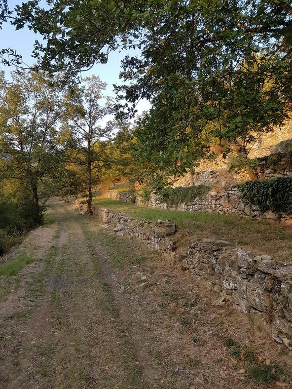 Immerso nel Verde Chiusavecchia Esterno foto