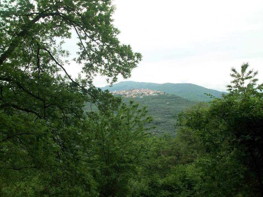 Immerso nel Verde Chiusavecchia Esterno foto