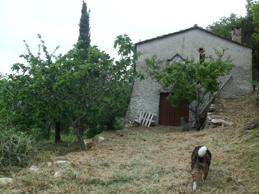 Immerso nel Verde Chiusavecchia Esterno foto