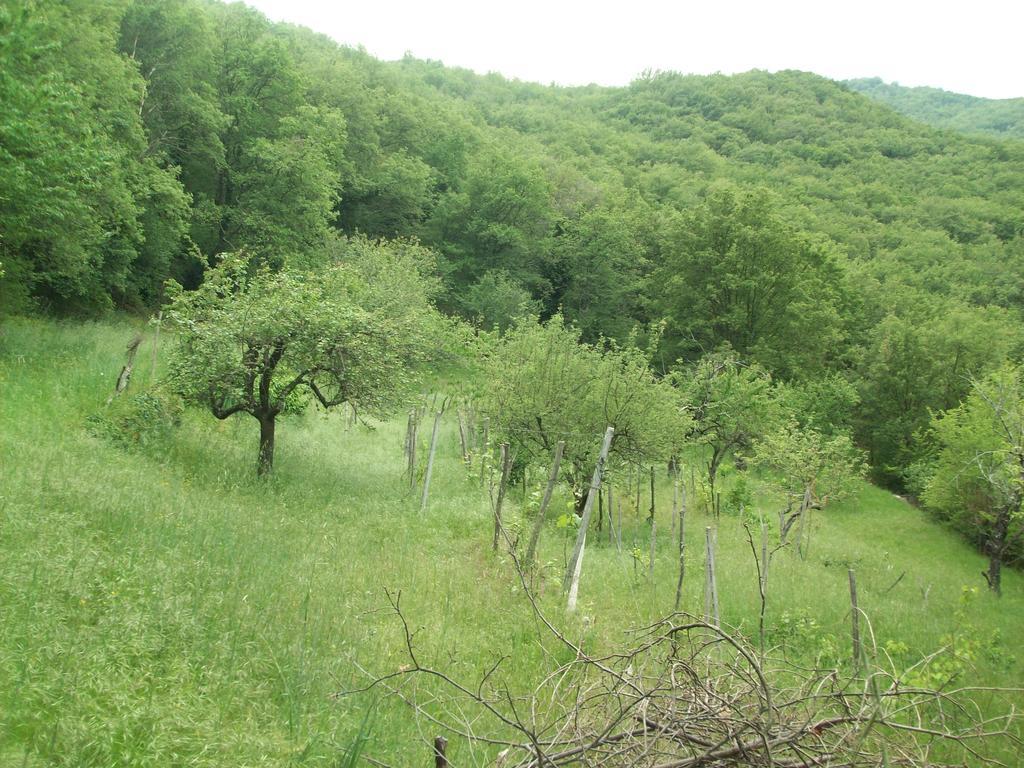 Immerso nel Verde Chiusavecchia Esterno foto