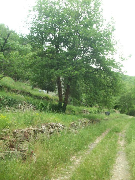 Immerso nel Verde Chiusavecchia Esterno foto