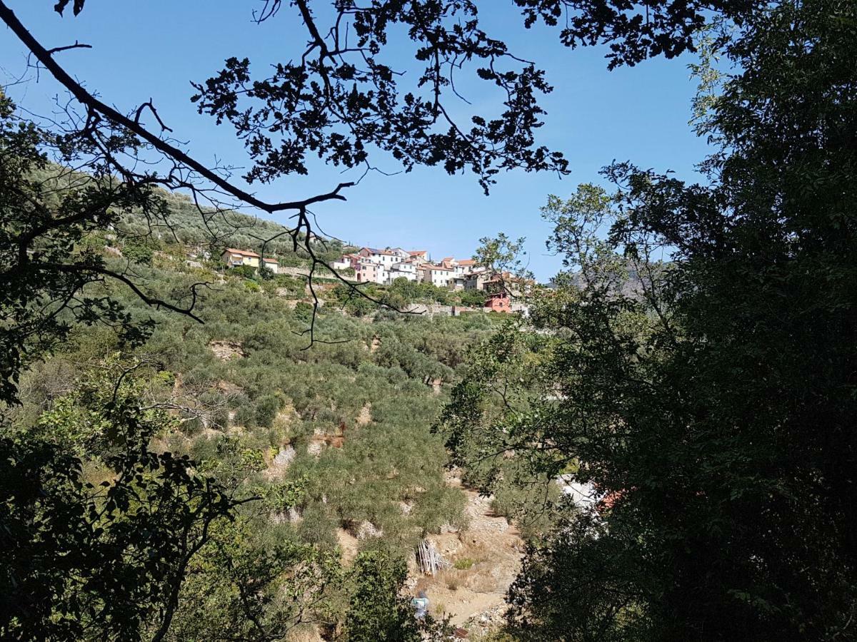 Immerso nel Verde Chiusavecchia Esterno foto