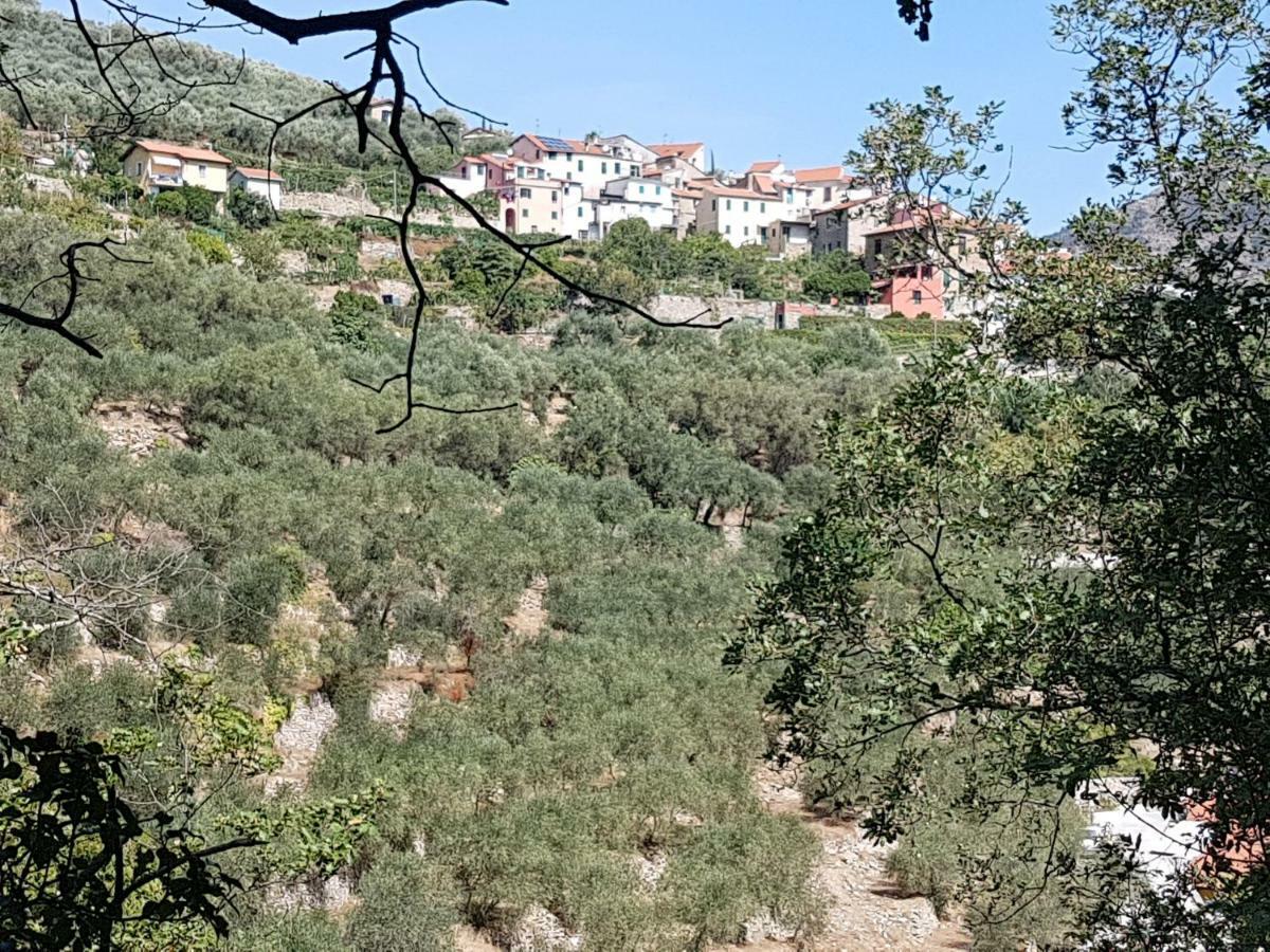 Immerso nel Verde Chiusavecchia Esterno foto