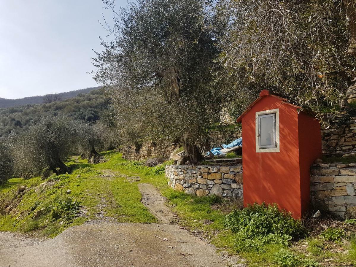 Immerso nel Verde Chiusavecchia Esterno foto