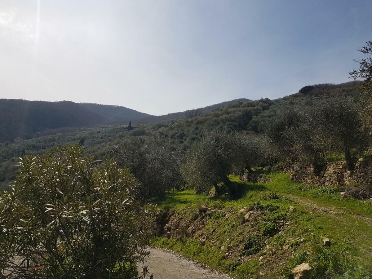 Immerso nel Verde Chiusavecchia Esterno foto
